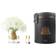 Côte Noire Grand Bouquet Fragrance Flower Ivory White/Gold Dekoration 4stk