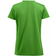 Clique Ice T-shirt W - Apple Green
