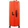 American Tourister DashPop Spinner 77cm - Tangerine Red