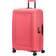 American Tourister DashPop Spinner 77cm - Sugar Pink