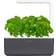 Click and Grow Smart Garden 3 Start Kit