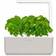 Click and Grow Smart Garden 3 Start Kit