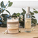 Durance Jasmine White Scented Candle 180g