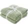 Catherine Lansfield Anti Bacterial Bath Towel Green (140x90cm)