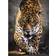 Clementoni Puzzle 39326 1000pz giaguaro