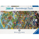 Ravensburger Guinness World Records 2000 Pieces