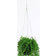 Emerald Senecio Green Artificial Plant