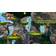 Donkey Kong Country: Tropical Freeze (Wii U)
