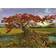 Heye Strontium Tree 1000 Pieces