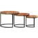 vidaXL 353900 Black Nesting Table 3pcs