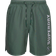 Superdry Code Applque Recycled Swim Shorts 19" - Forest Night Green