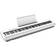 Roland FP-30X White
