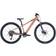 Scott Roxter 600 26" 2025 - Alloy Brown Barncykel
