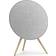 Bang & Olufsen Beosound A9 5th Generation Natural Aluminium