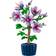 LEGO Hibiskus