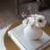 Cooee Design Pastille White Vase 14cm