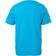 South West Kings Organic T-shirt - Aqua