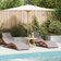 vidaXL Sun Loungers with Cushions 2 Pcs Taupe Acacia