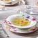 Villeroy & Boch Mariefleur Basic Soup Plate 23cm
