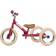 Trybike Tricycle
