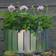 Ventura Funky Wall Hanging - Zinc 20x45x20cm