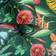 World of Wallpaper Wonderland Tropical (WOW036)