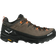 Salewa Alp Trainer 2 GTX M - Bungee Cord/Black