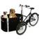 Nihola DOG Unisex