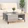 vidaXL Engineered Wood Grey Sonoma Coffee Table 80x80cm