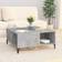 vidaXL Engineered Wood Concrete Grey Coffee Table 80x80cm