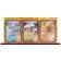 Pokémon TCG Paradox Fury Premium Collection