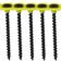 Timco 00055COLDYS 3.5x55mm 1000pcs