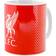 Liverpool FC Fade Mugg 32cl