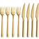 aida Raw Gold Bestickset 8st
