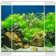 Ciano Aqua 30 Classic Fish Tank 25L with LED Light White