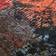 vidaXL Washable Multicolour 120x180cm