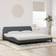 vidaXL 3208472 Dark Grey 205x218cm