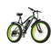 Kayoba Electric Fat Bike 26" 11.6 Ah Damcykel