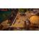 Asterix & Obelix XXL 2 (PS4)
