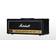 Marshall DSL100