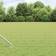 vidaXL Euro Fence With 7 Spike Posts 0.4x10 m