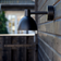 Louis Poulsen Toldbod Black Wall light ∅ 15.5cm