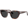 Persol Polarized PO3379S 24/48 - Havana