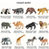 Shein 12 Pcs/Set Of Wildlife Simulation Models