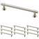 Franklin Brass Francisco (P29618K-SN-B) 10pcs 100x18mm