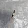 Arthouse Stone Textures Charcoal (902109)