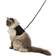 Trixie Soft Harness with Lead XXL Black