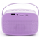 Lalarma Karaoke Højtaler M Lys Og 2 Mikrofoner Purple