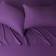 Amazon Lightweight Super Soft Bed Sheet Purple (259x228.6cm)