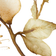 H&M Bloemen Overhemdjurk Met Strikceintuur - Lichtbeige